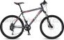 STR Storm Disc 2012
