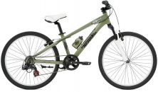 Giant STP 225
