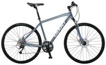 Giant Roam 1