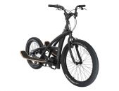 StepBike Hammer
