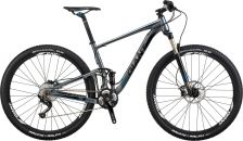Anthem X 29er 0 2012